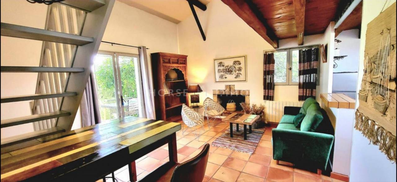 Mas de caractère en Camargue