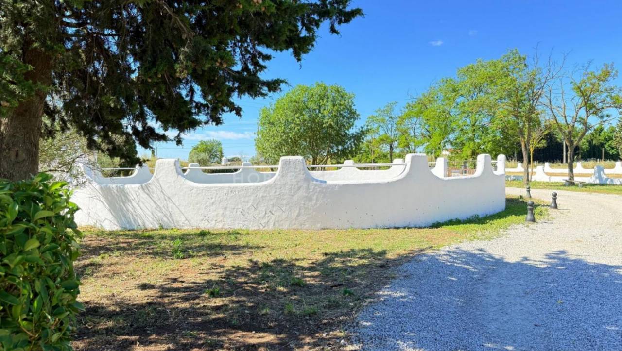 Mas de caractère en Camargue