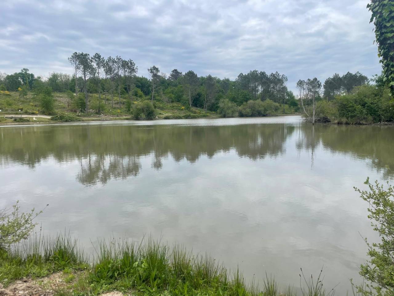 Domaine de chasse de 100 ha avec gîtes