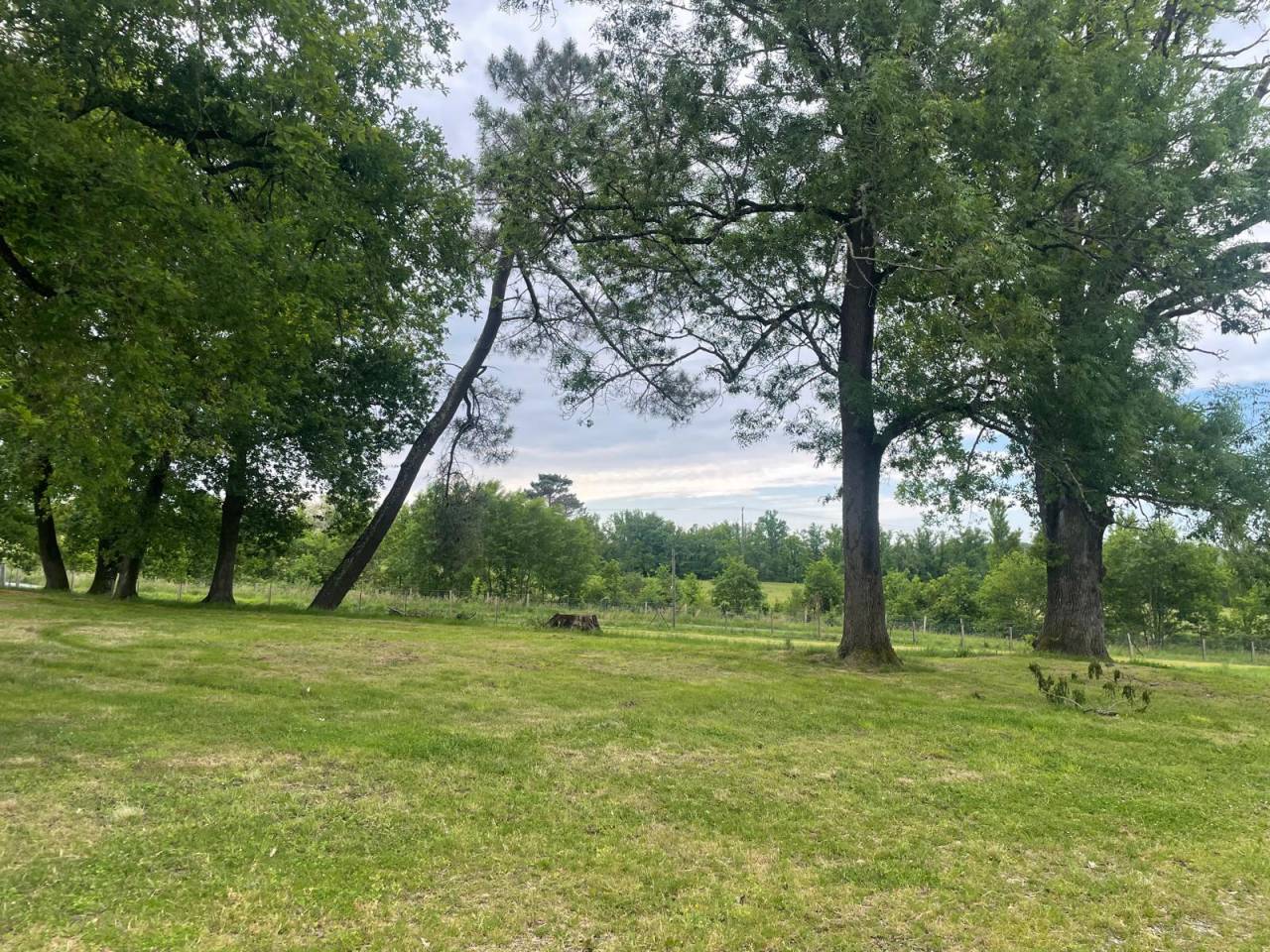 Domaine de chasse de 100 ha avec gîtes
