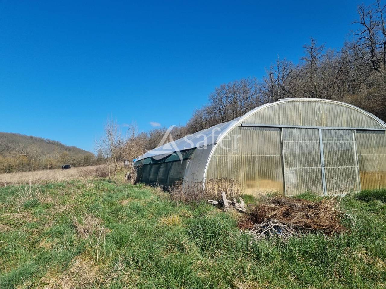 Propriété Agricole sur 38 ha dans le Mirapicien