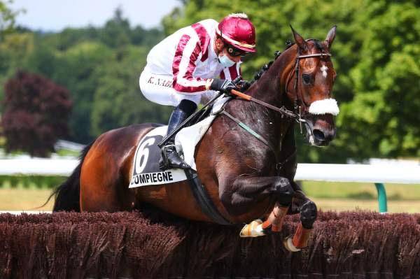 Fou Fou - Hongre reformé