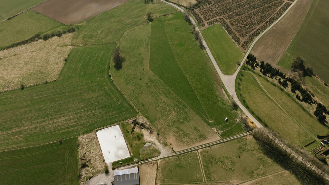 Haras + Maison d’exception à Neufchâteau 