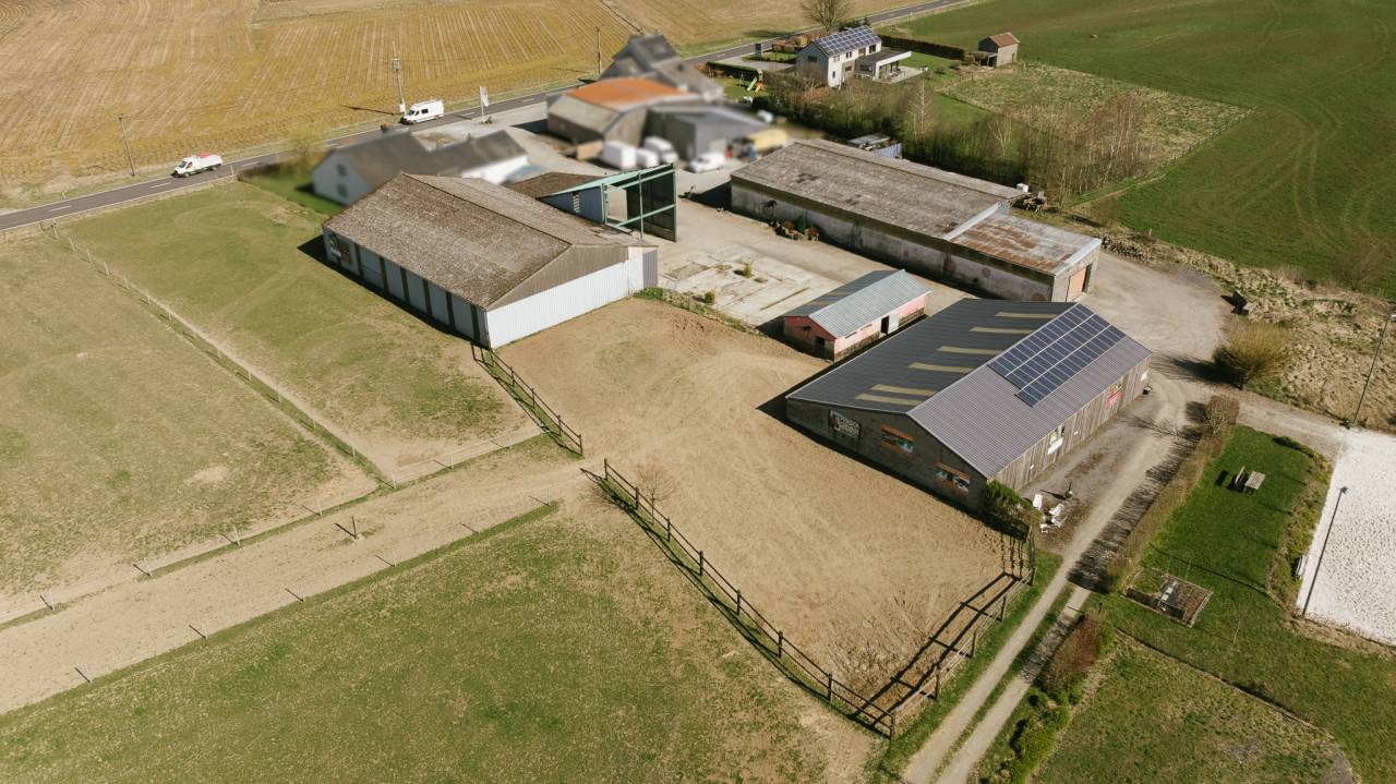 Haras + Maison d’exception à Neufchâteau 