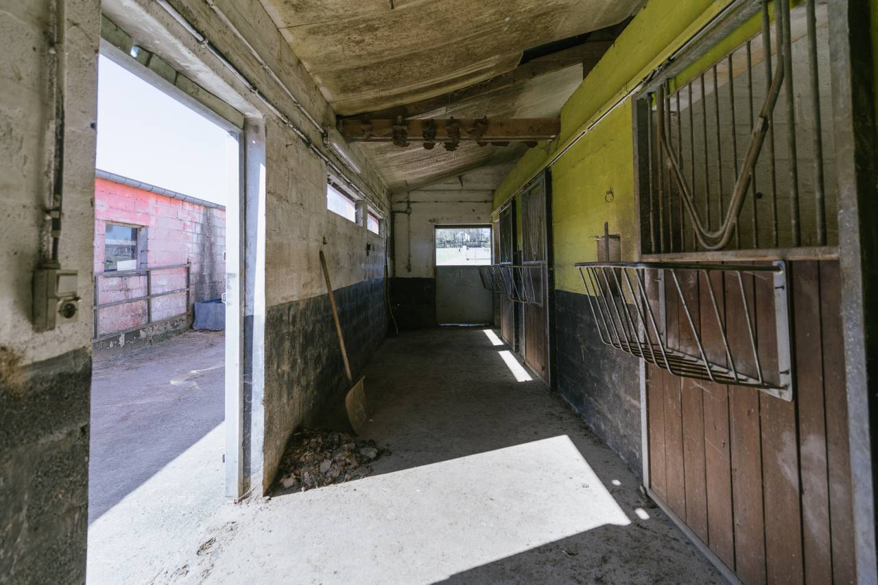 Haras + Maison d’exception à Neufchâteau 
