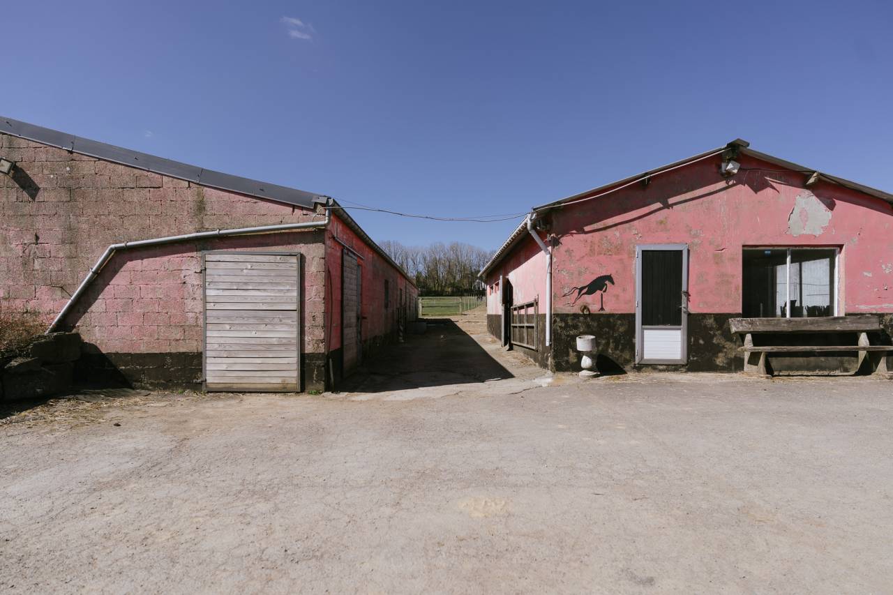 Haras + Maison d’exception à Neufchâteau 