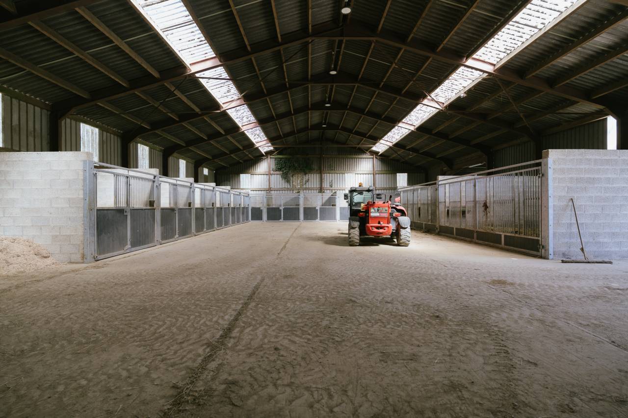 Haras + Maison d’exception à Neufchâteau 