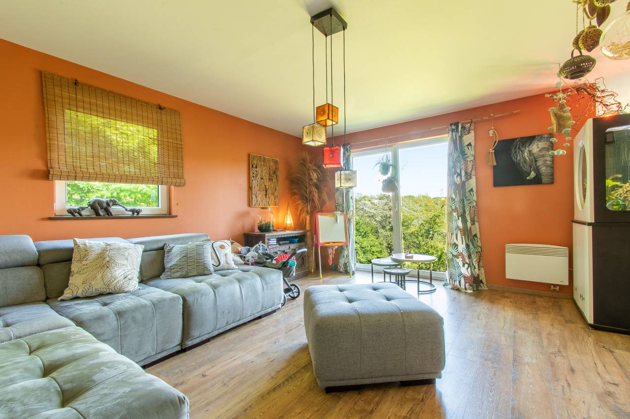 Haras + Maison d’exception à Neufchâteau 