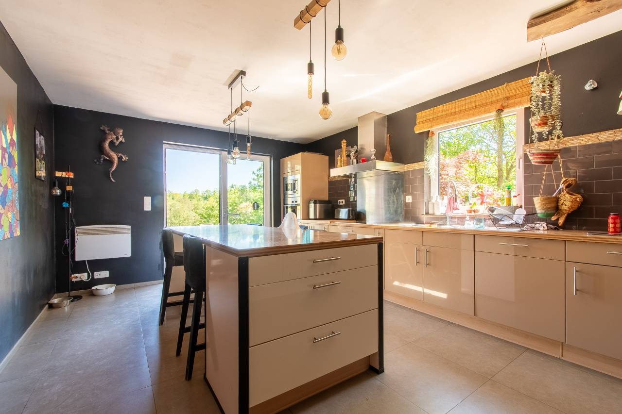 Haras + Maison d’exception à Neufchâteau 