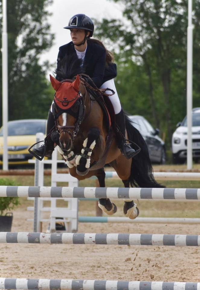 Poney de sport à vendre 