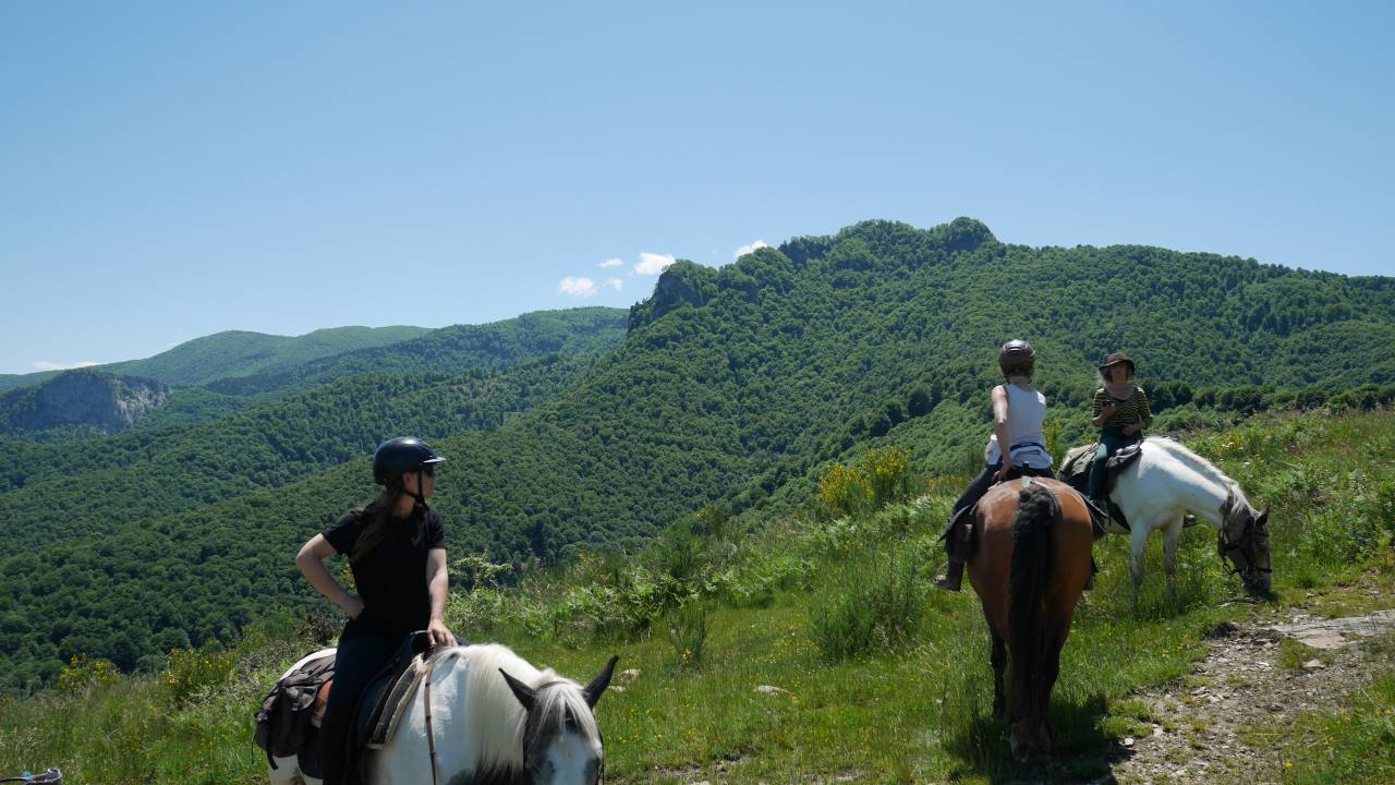 La Barousse et ses secrets