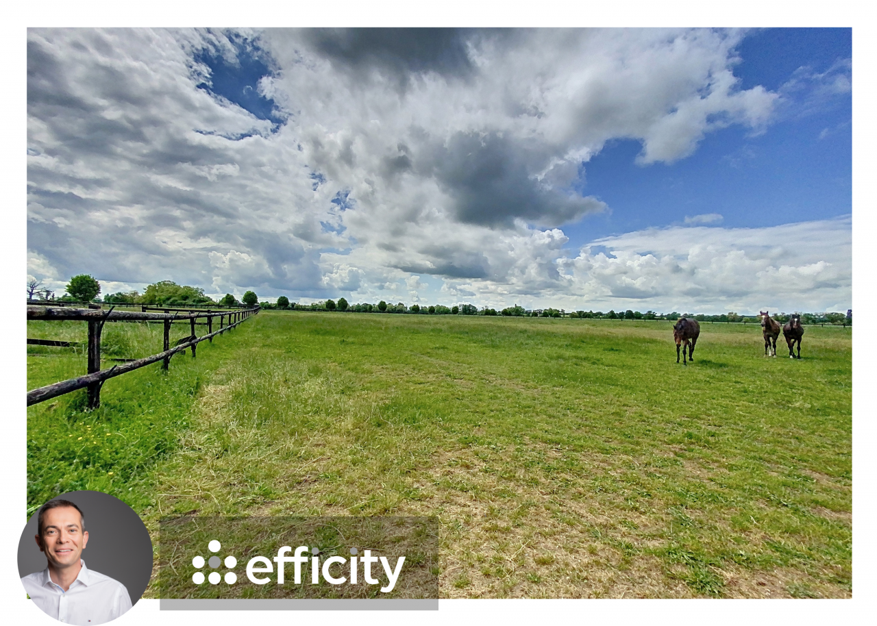 HARAS DE 15 HECTARES EN BOURGOGNE