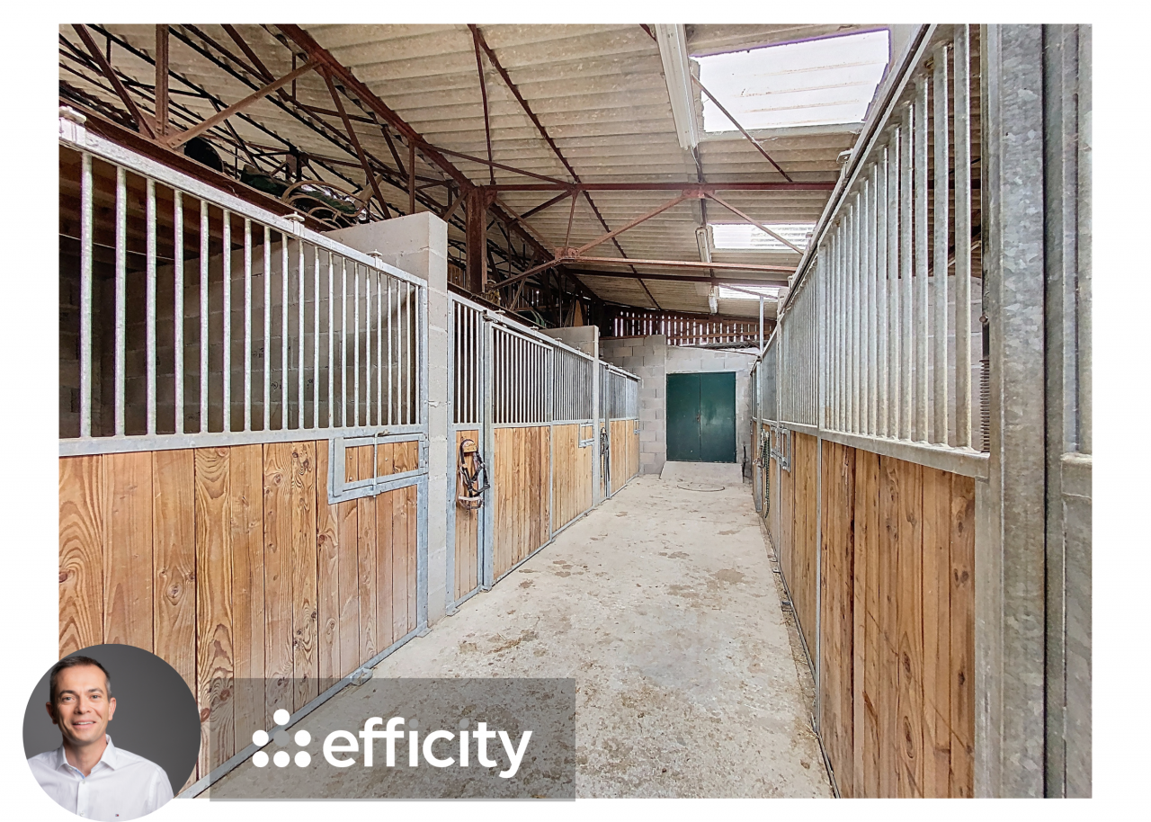 HARAS DE 15 HECTARES EN BOURGOGNE