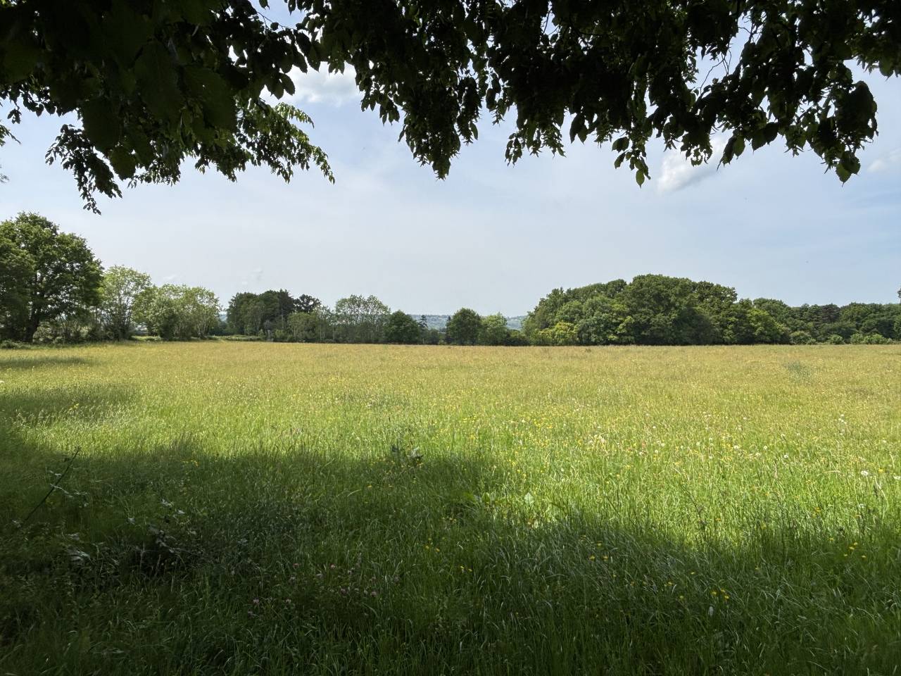 PROPRIÉTÉ DE 7,8 HA AU CALME AVEC UNE TRÈS JOLIE VUE