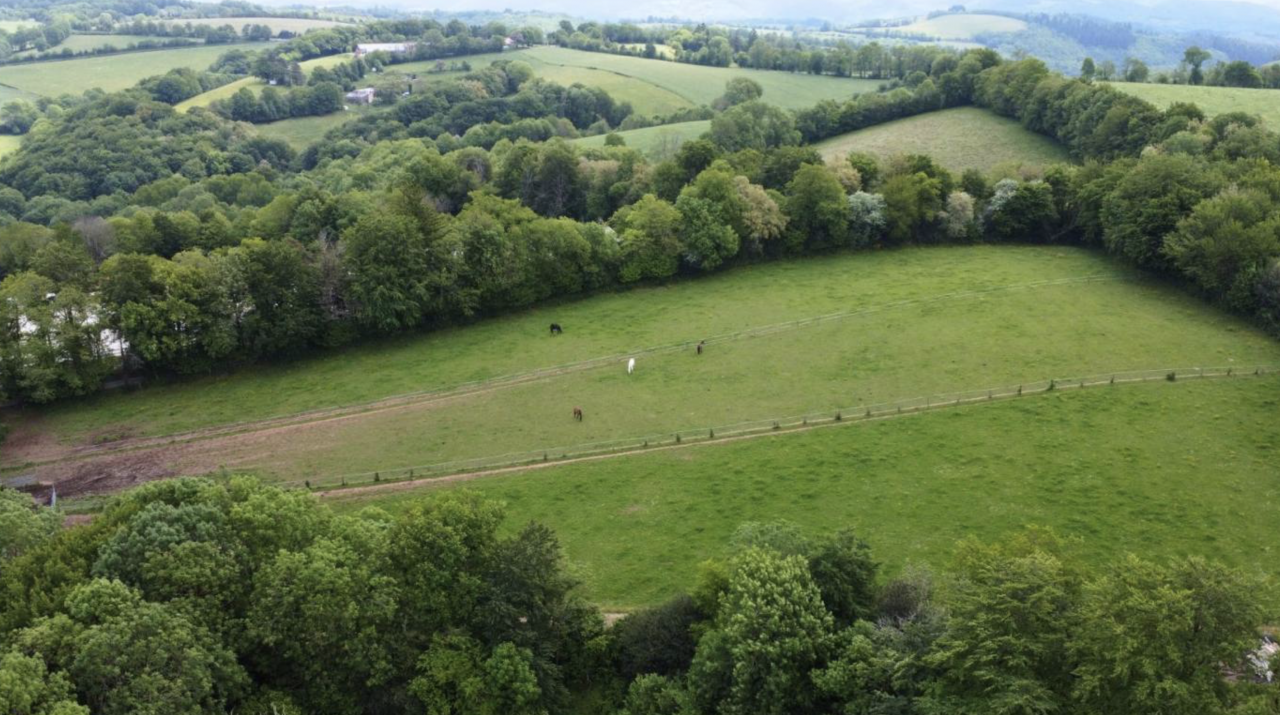 Domaine de 41 hectares (81)