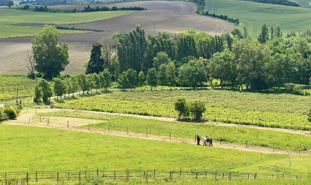 SOUS COMPROMIS - Propriété équestre de 6,3 hectares 