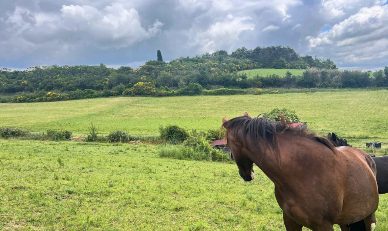 SOUS COMPROMIS - Propriété équestre de 6,3 hectares 