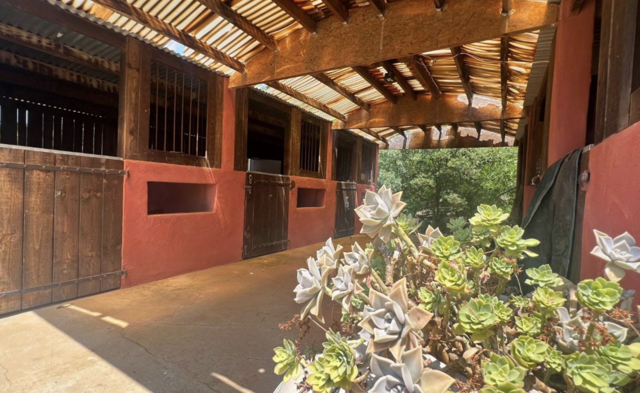 Propriété équestre de 3,5 hectares (34)