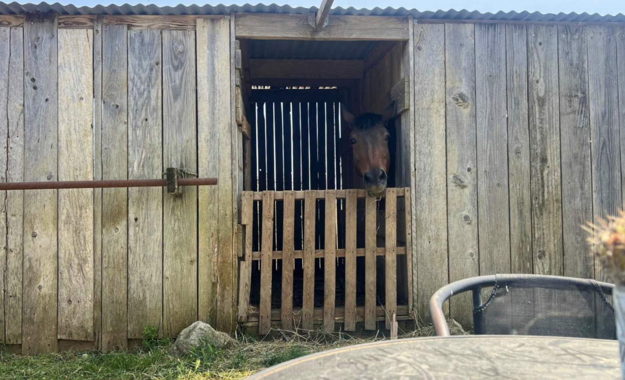 Propriété équestre de 3,5 hectares (34)