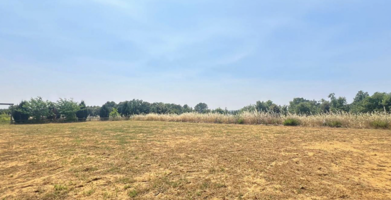 Propriété équestre de 3,5 hectares (34)