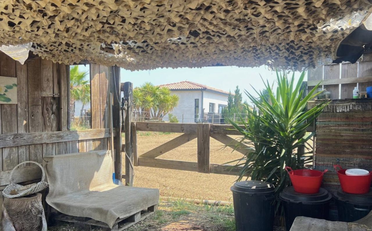 Propriété équestre de 3,5 hectares (34)