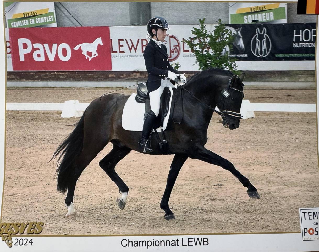 ANTARES DE SCUDERIA disponible en IAC 