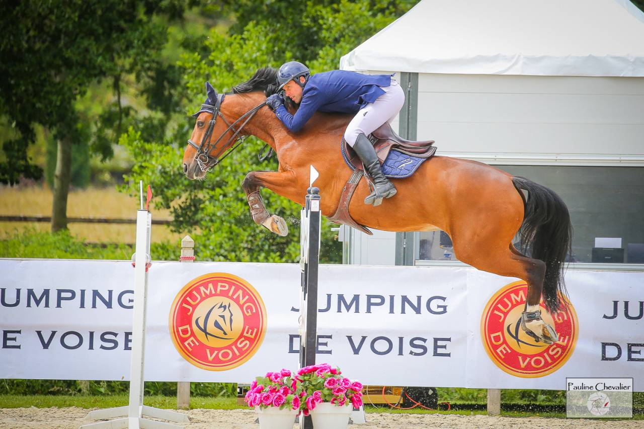 Excellent cheval de concours 130-135