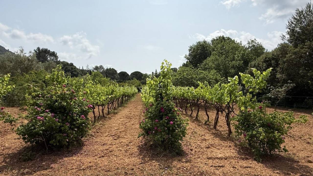 Jolie propriété pour amoureux de nature