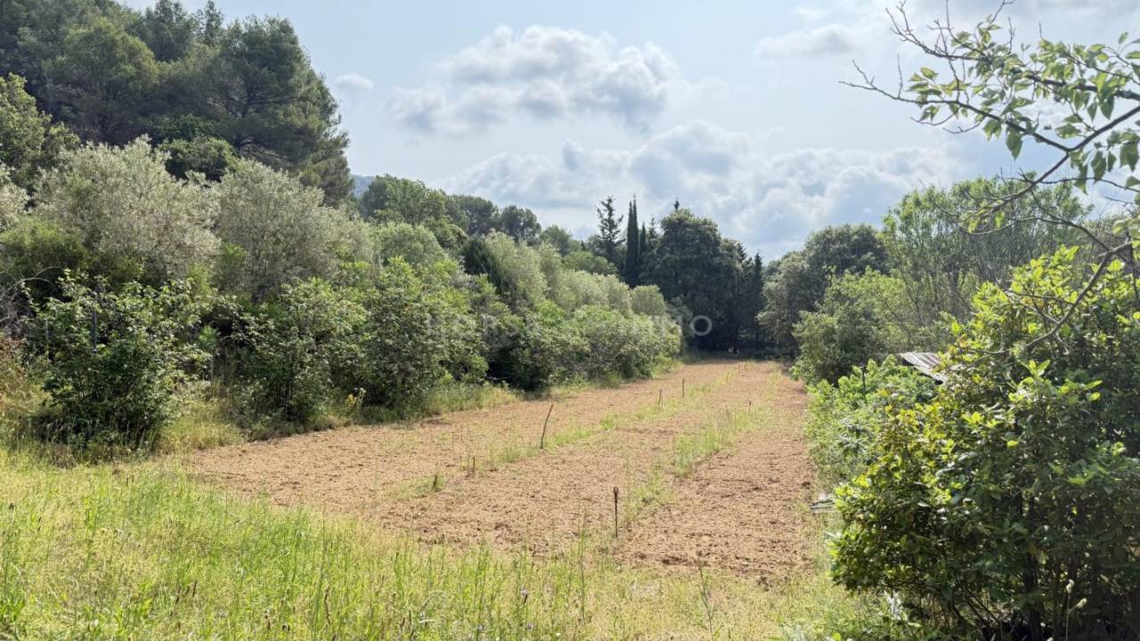 Jolie propriété pour amoureux de nature