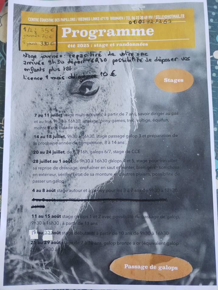 Randonn&eacute;es  &agrave; la journ&eacute;e Alsace