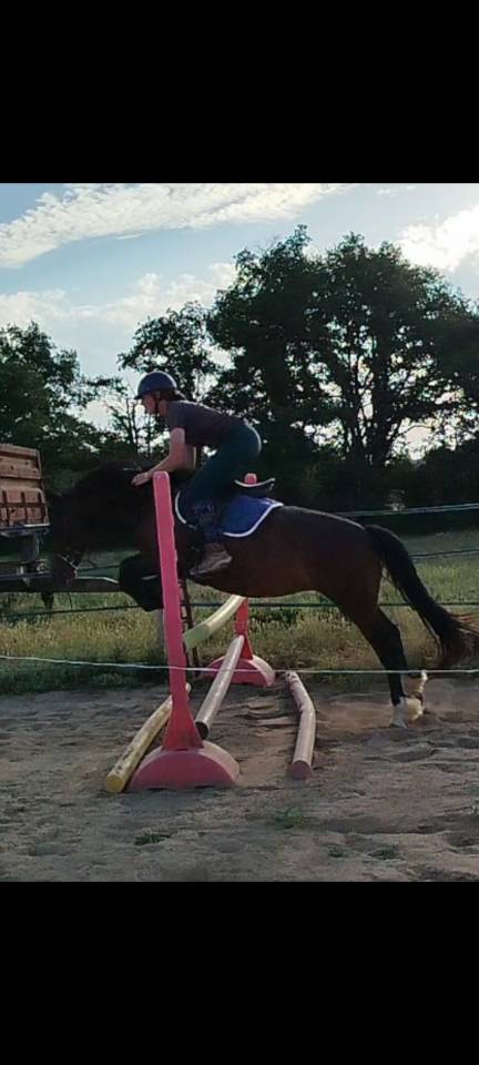 Ponette Connemara 6 ans