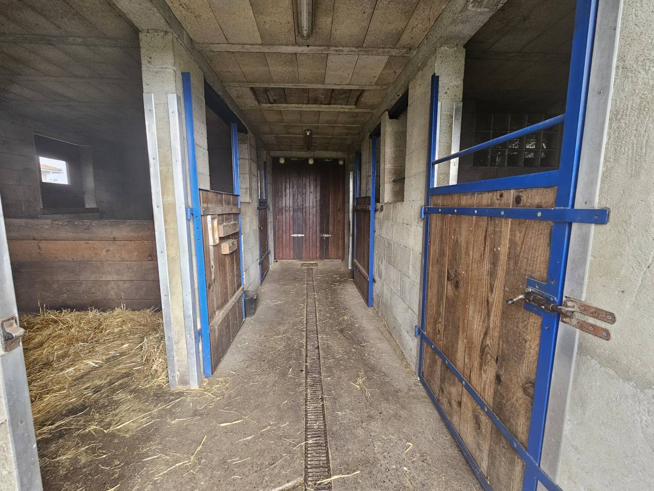 Propriété équestre sur 1,7 ha à 15 mn de MARENNES (17)