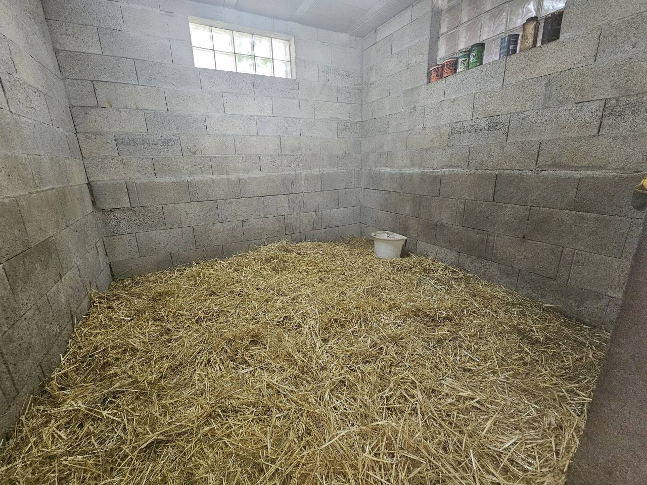 Propriété équestre sur 1,7 ha à 15 mn de MARENNES (17)