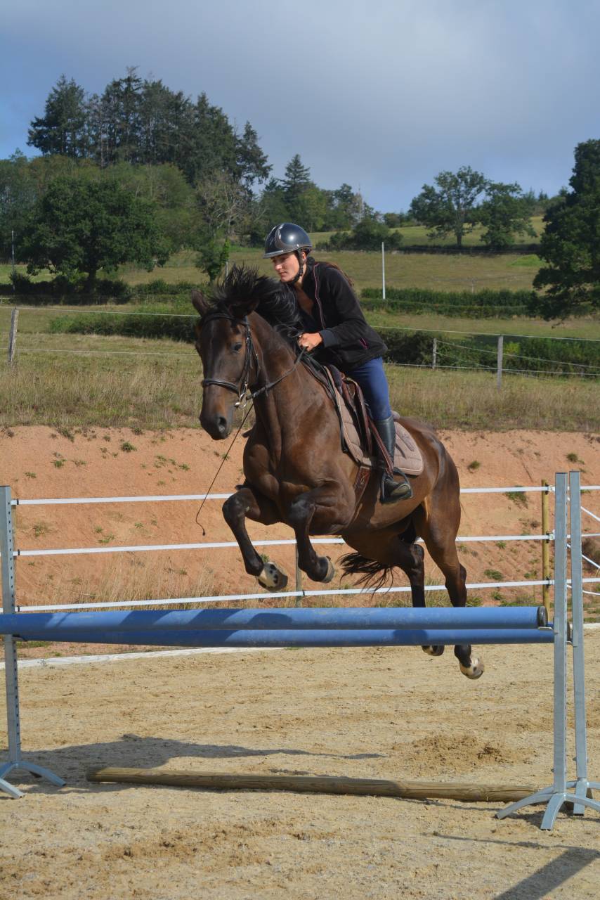 Cours particuliers équitation 