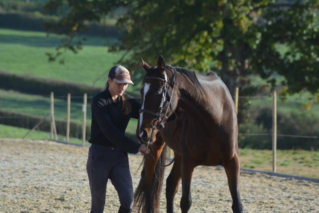Demi-pension écurie de propriétaires 