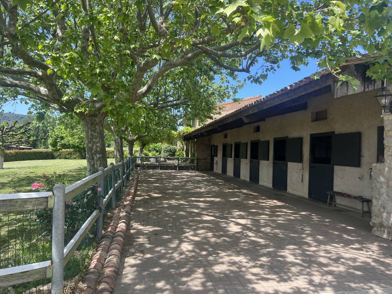 Provence, Gorges du Verdon, domaine équestre 