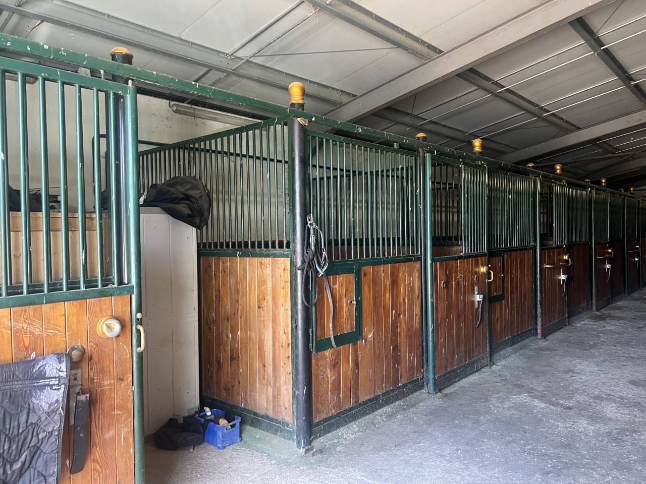 Provence, Gorges du Verdon, domaine &eacute;questre 