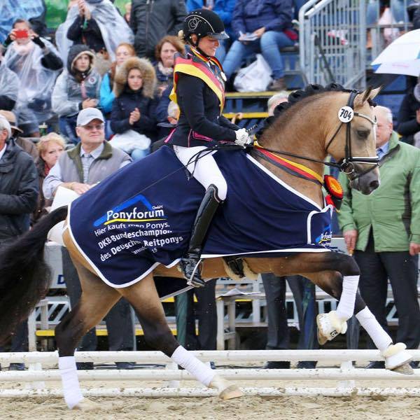 À VENDRE — Ponette D d’exception pour le sport 