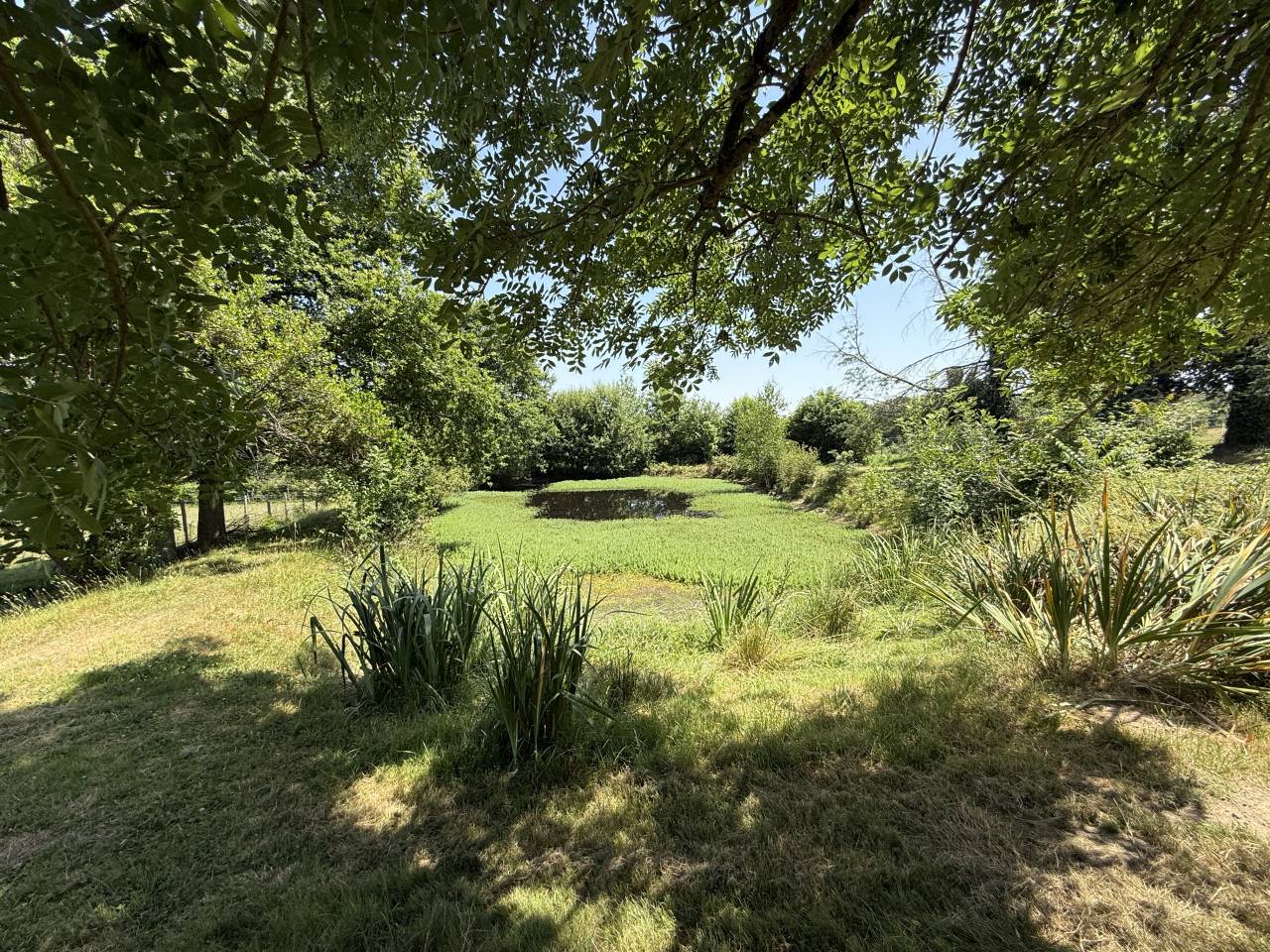 A la Roche Chalais, sur 11 hect, propriété équestre