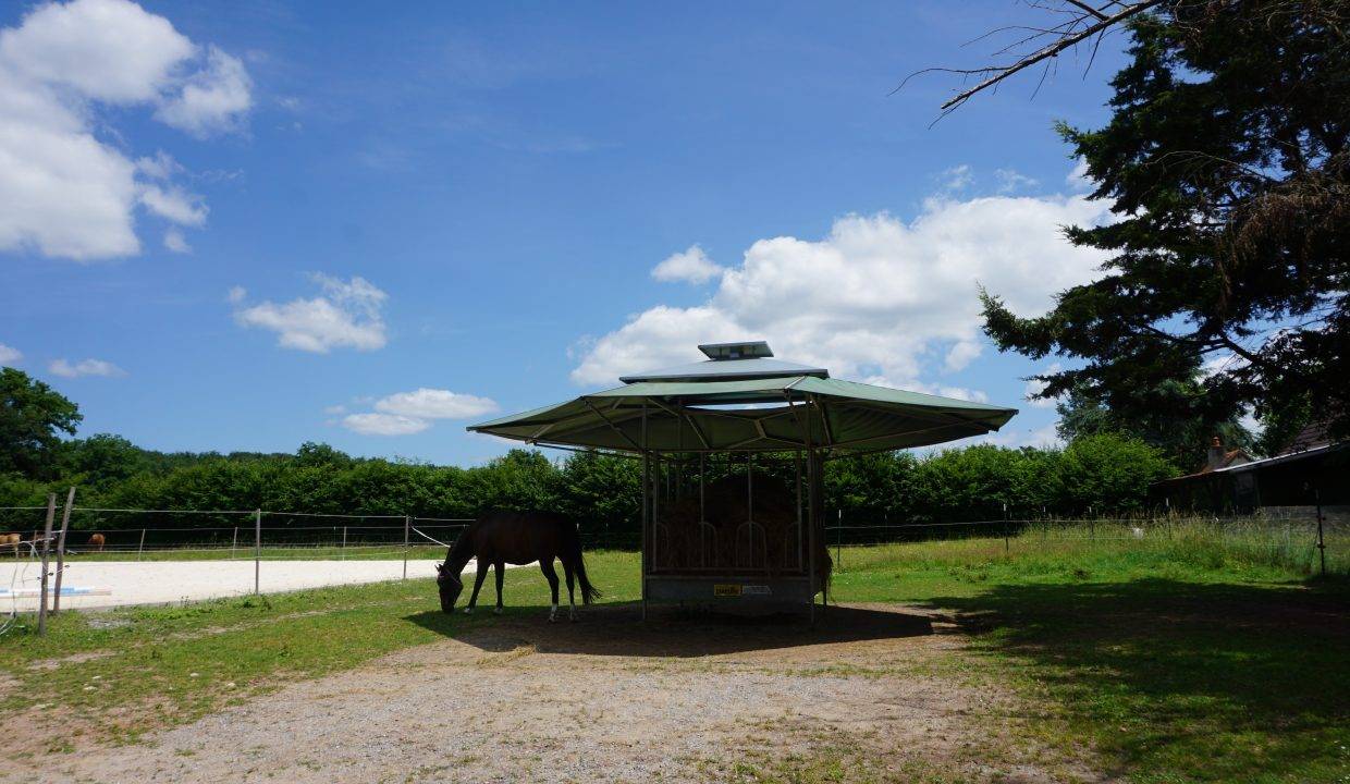 Propriété équestre avec 2 habitations rénovées sur 8 ha (