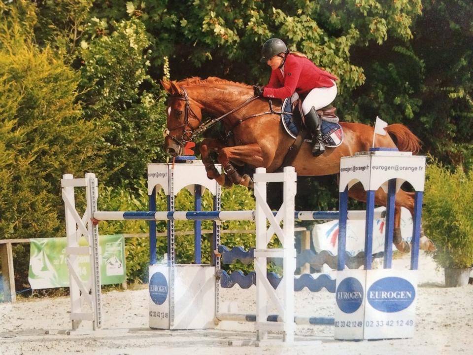 Hongre de un an par Hurricane de Champloue