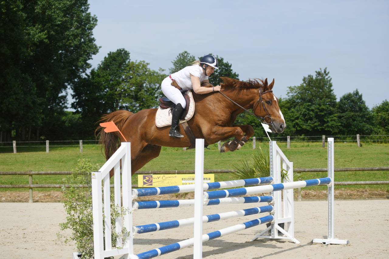 Hongre de un an par Hurricane de Champloue