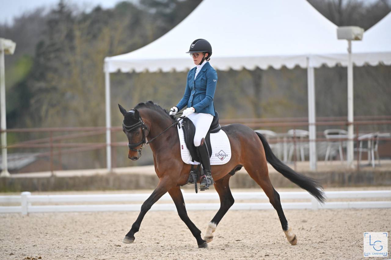 Le Champion de France des 4 ans Dressage !