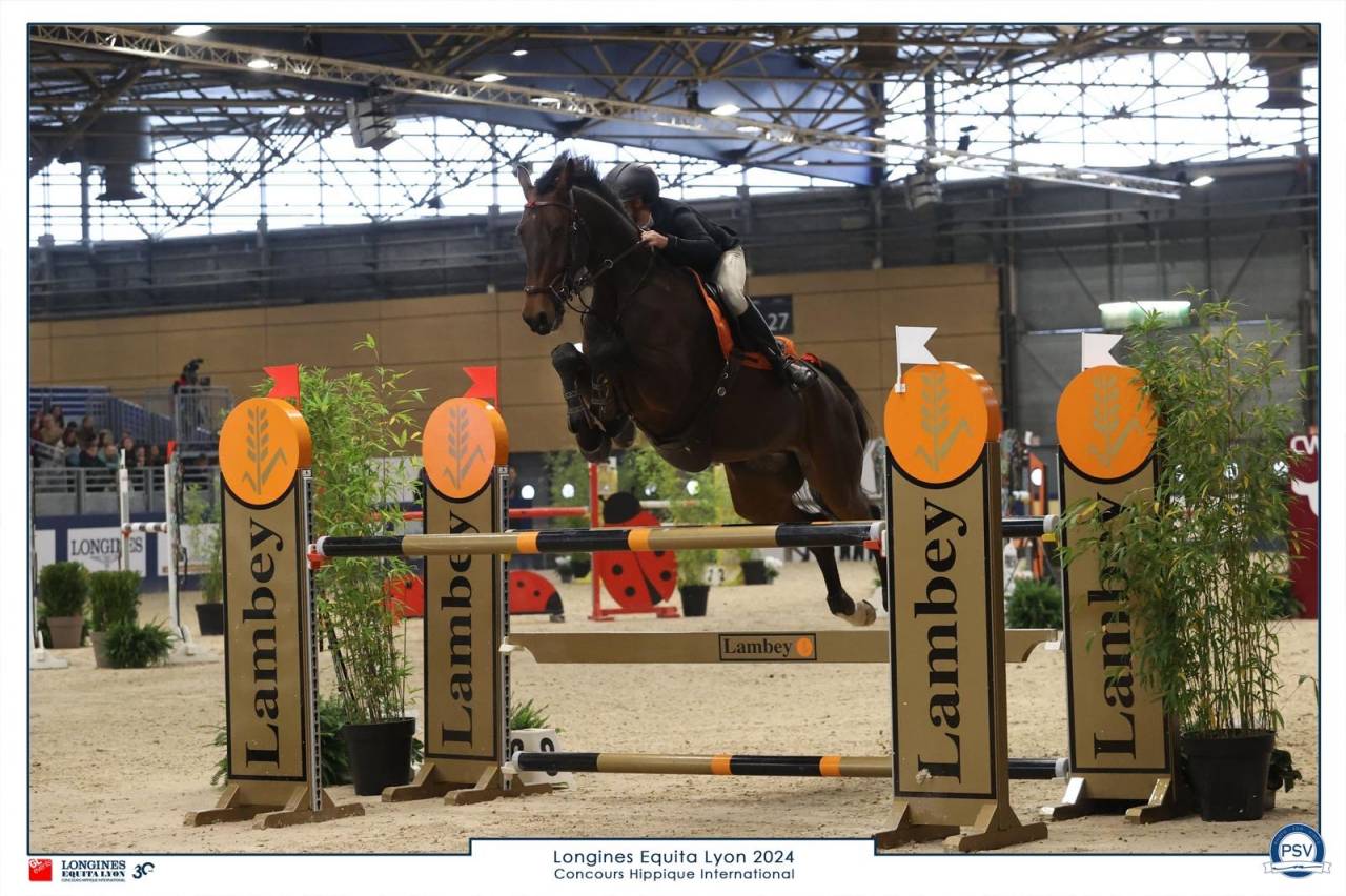 Jument oldenburg 8 ans, 174 ,classée 140