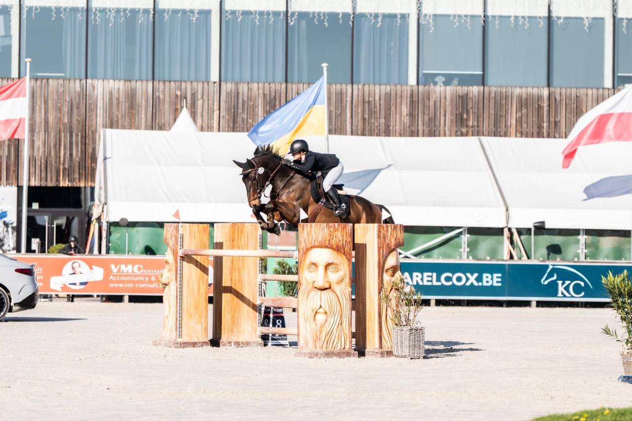 HONGRE ZANGERSHEIDE 9 ans 171cm cso 150