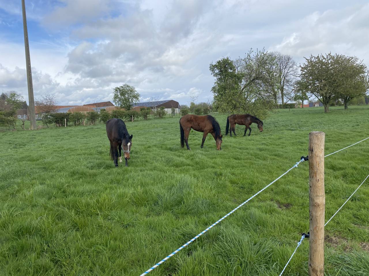 Pension prairie 4350 Remicourt 