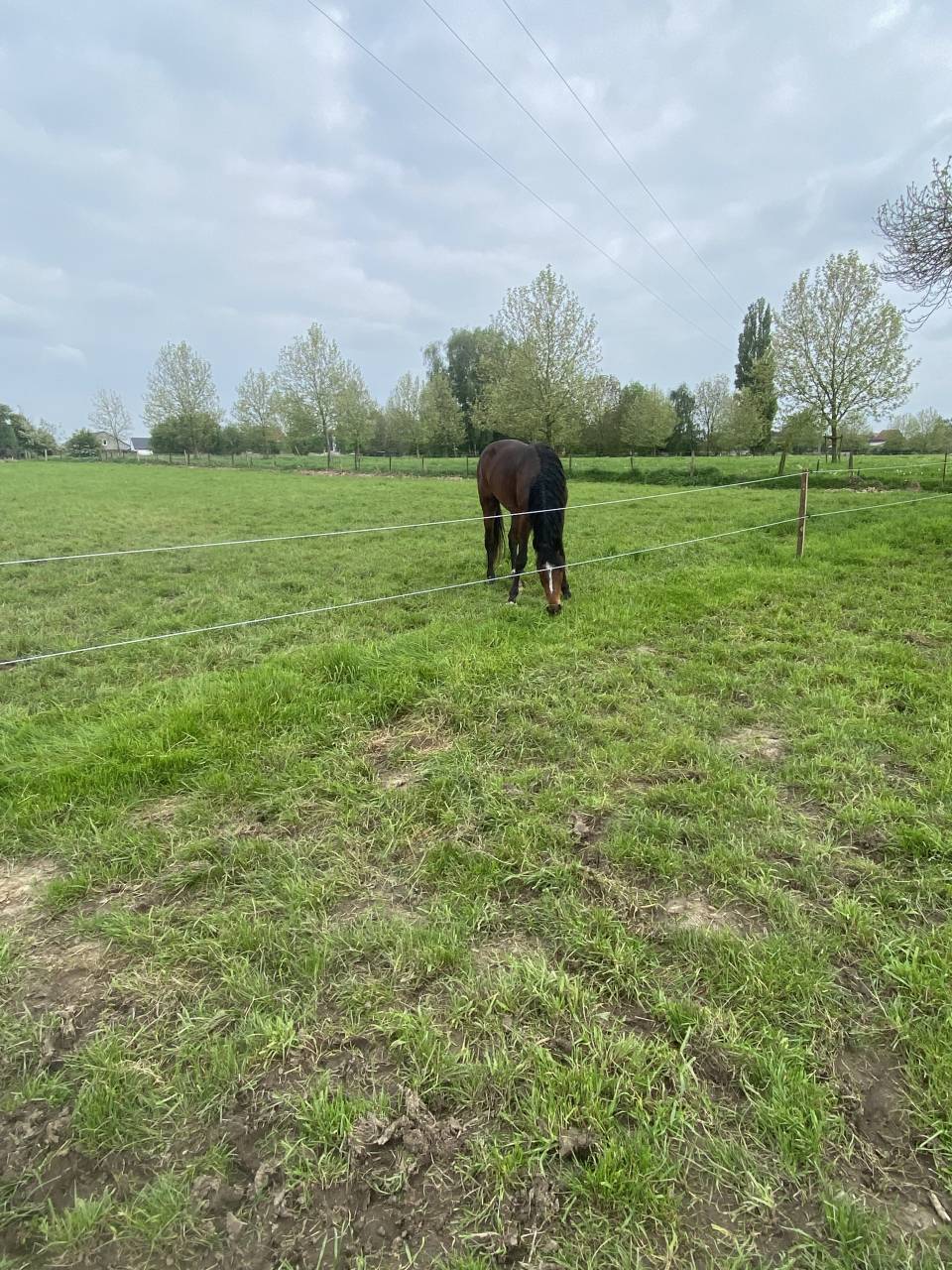 Pension prairie 4350 Remicourt 