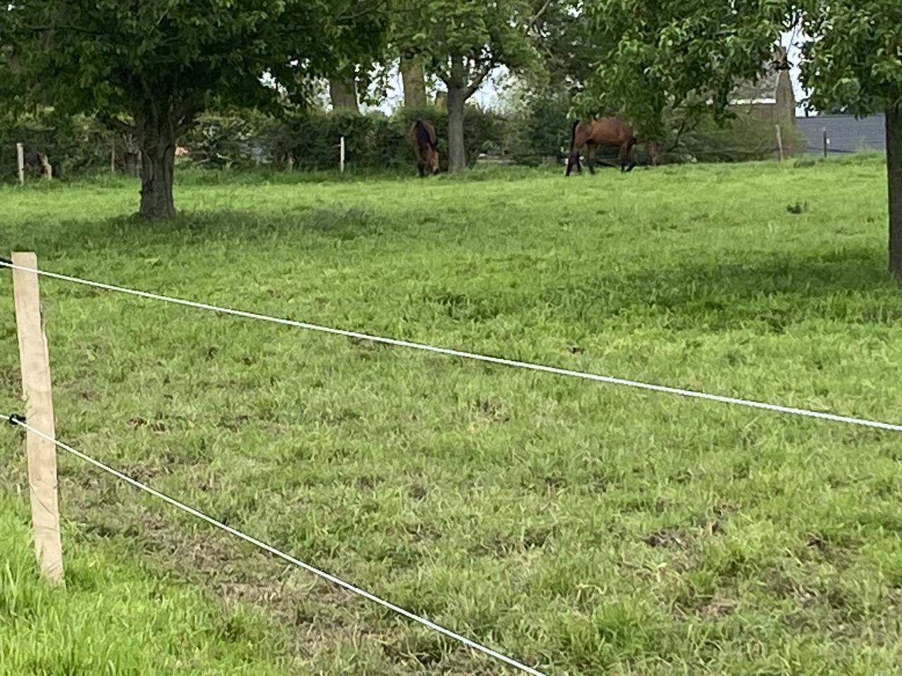 Pension prairie 4350 Remicourt 