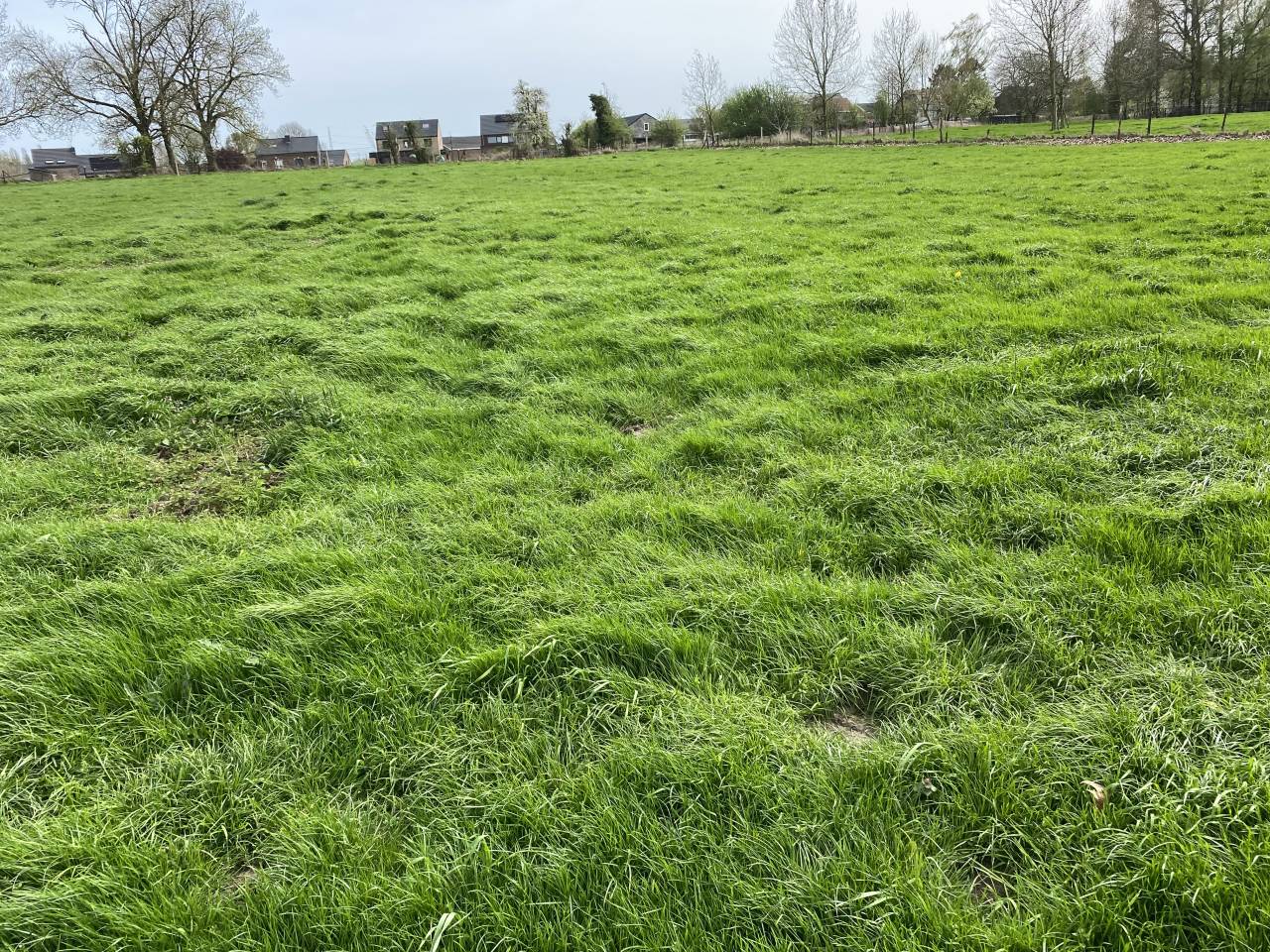 Pension prairie 4350 Remicourt 