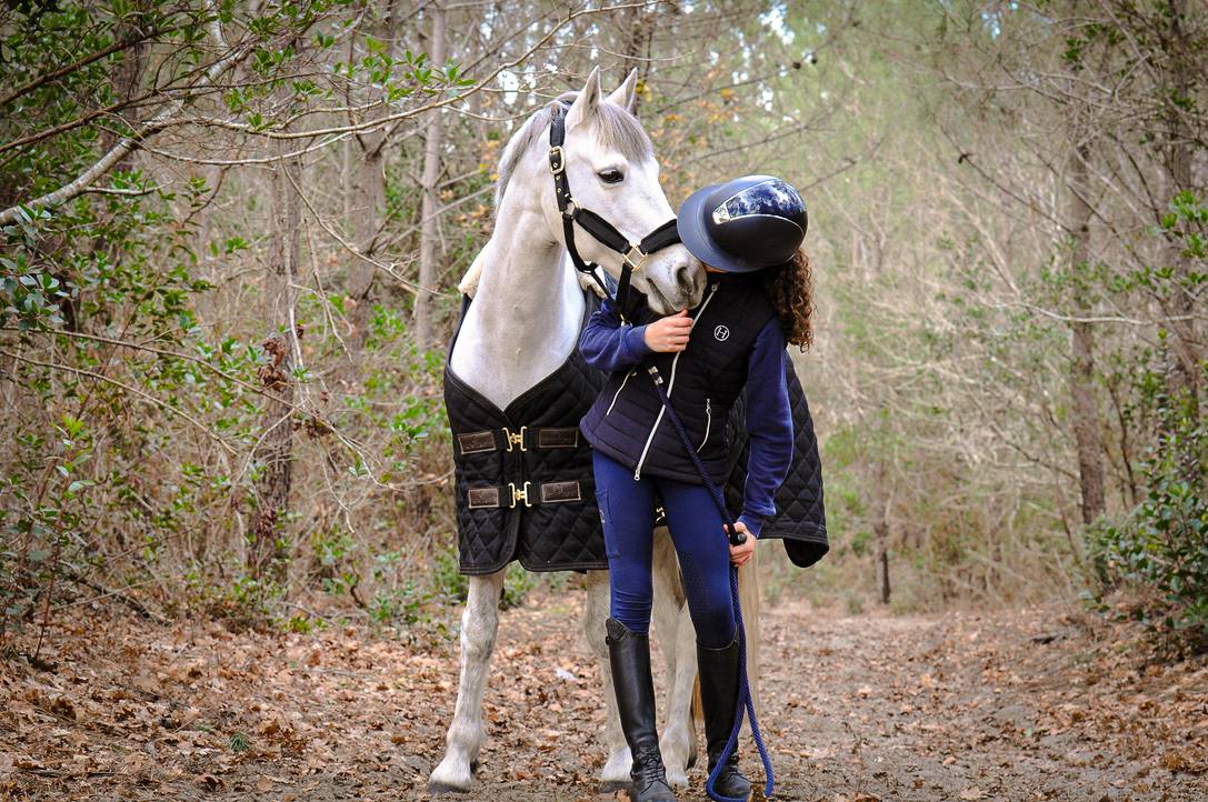 Poney Maitre d'école a Vendre 